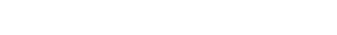 Roberto Navarro Logo